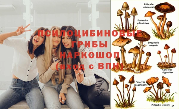 Альфа ПВП Армянск